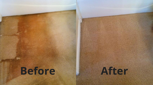 Before & After Carpet Cleaning