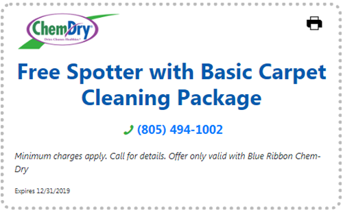Free spotter with basic carpet cleaning package