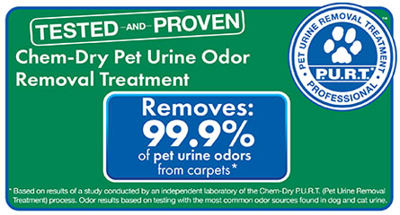 Pet Urine & Odor Removal By Chem-Dry Removes 99.9% of Pet Urine Odor and 99.2% of Pet Urine Bacteria